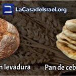 significado-del-mes-de-abib-en-la-biblia-y-su-relevancia-religiosa