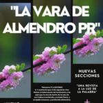 significado-espiritual-de-la-flor-de-almendro-en-la-biblia