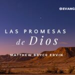 significado-y-relevancia-del-pacto-de-sal-en-la-biblia