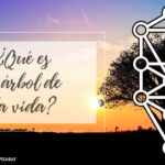 significado-y-simbolismo-del-arbol-de-la-vida-en-la-biblia